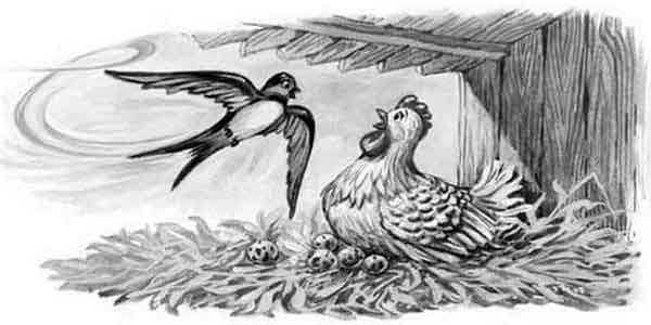 Мурғ ва фроштурук