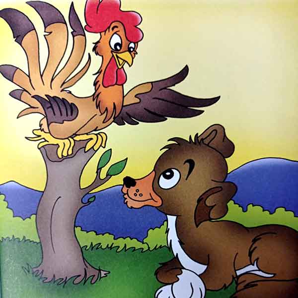 Саги  қаноатманд