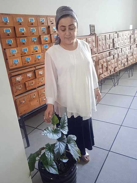 Фароғат ТОЛИБОВА