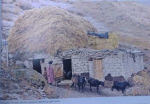 photo_2024-04-15_11-24-33