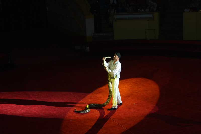 Як рӯзи рангину зебои кӯдакон