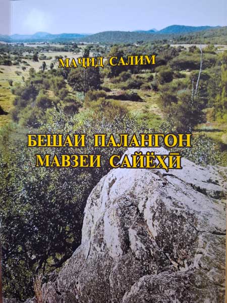 Бешаи палангон