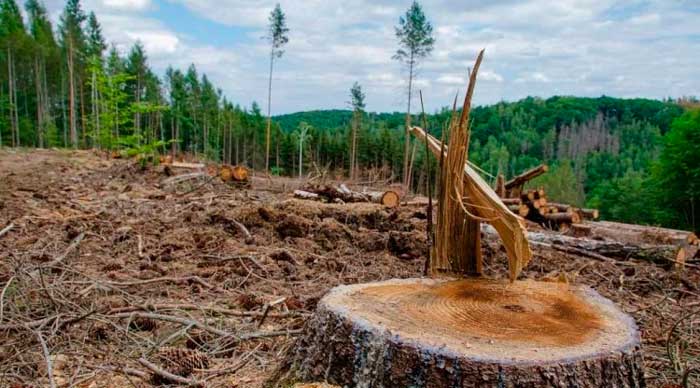 Ҷиноятҳои экологӣ