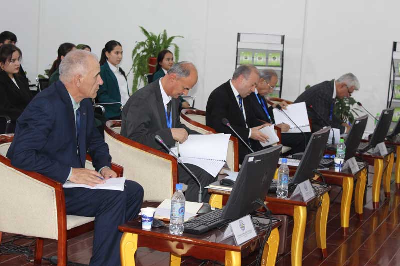 Алифбекова Сурма 