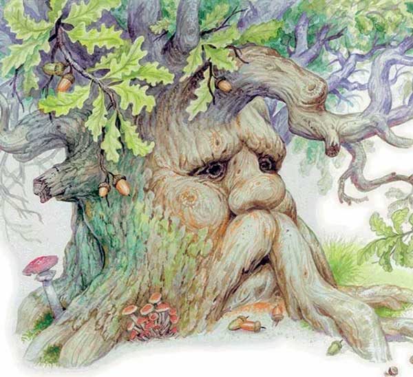 Листы и Корни