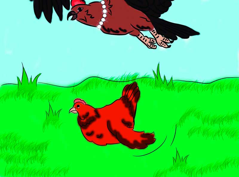 Курица и ястреб