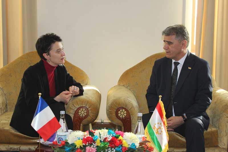 Директори Китобхонаи миллӣ