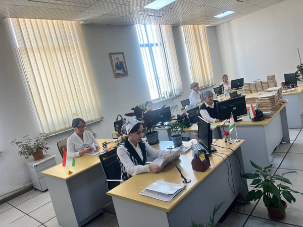 abonementi-bajnikitobhonavy