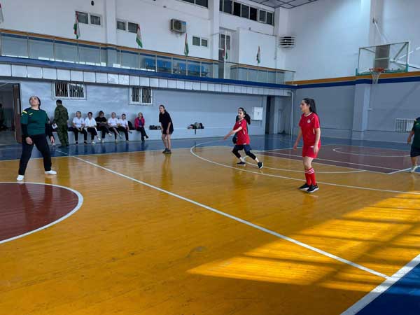 волейболбози