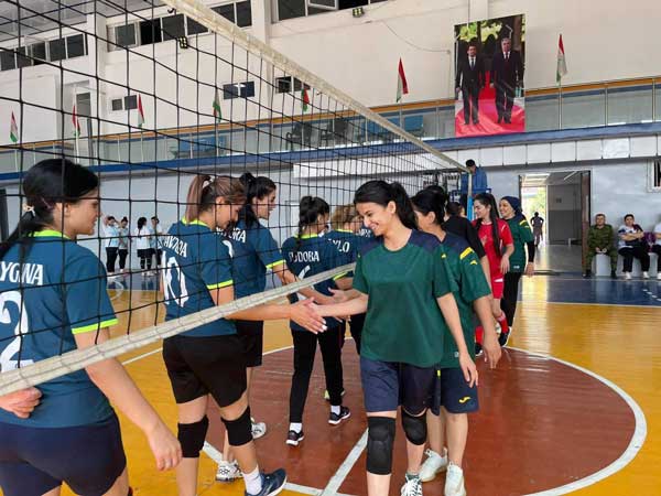 волейболбози